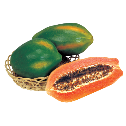 Red Lady-Known-You Seed India